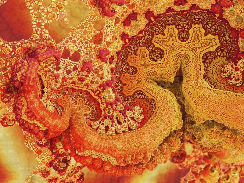 Fractal Coral Structure — Red, Complex