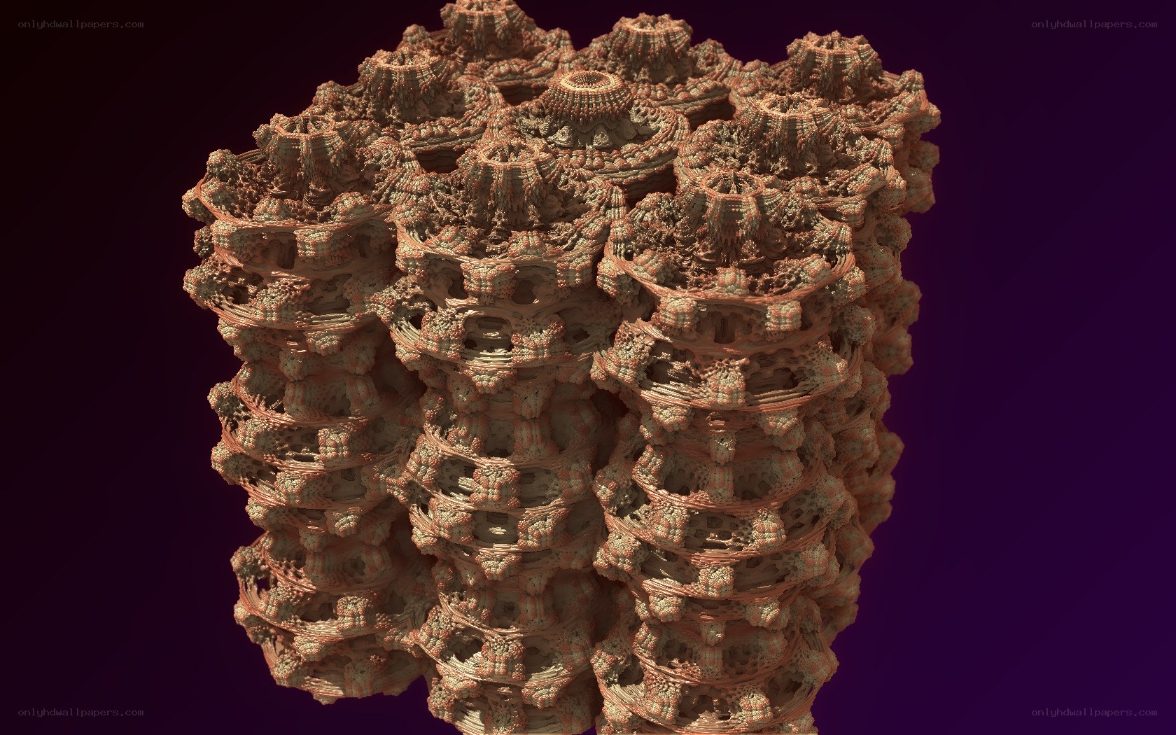 Fractal coral structure