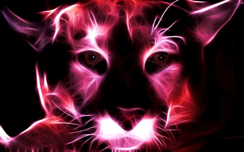 Fractal Cougar Face — Pink