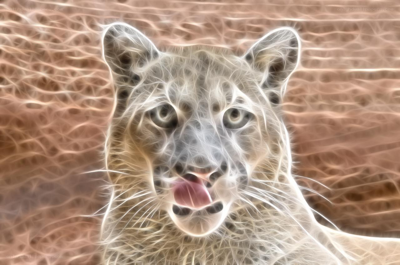 fractal cougar portrait