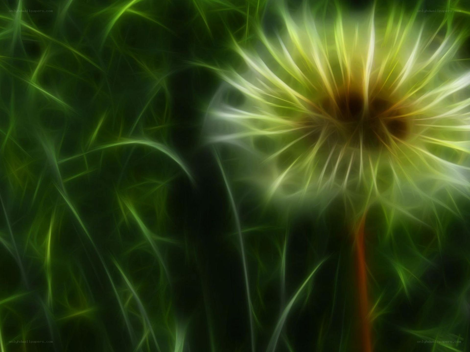 Fractal dandelion in green