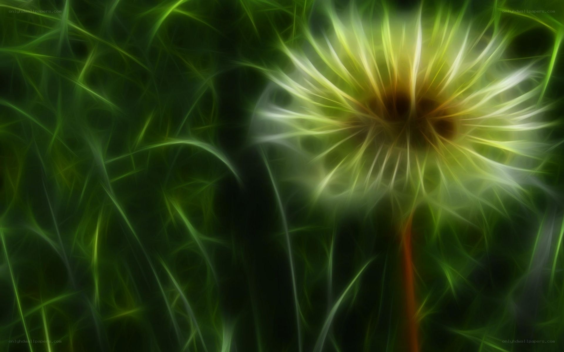 Fractal dandelion in green