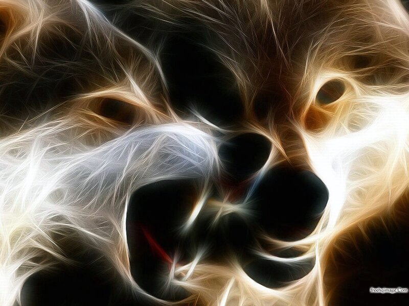 Fractal Dog Face