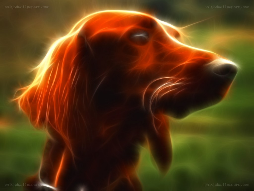 fractal dog portrait