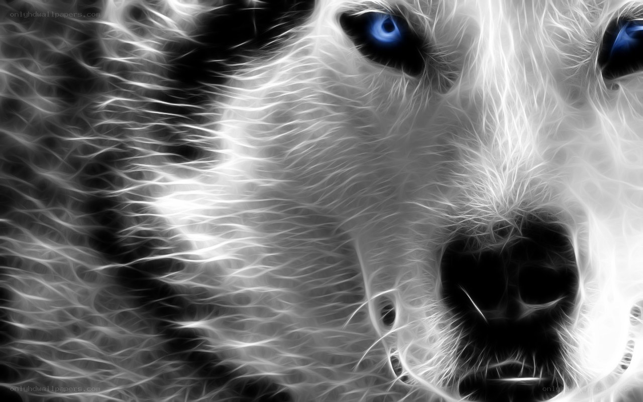 fractal dog portrait