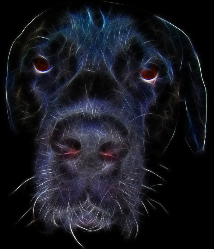 fractal dog portrait