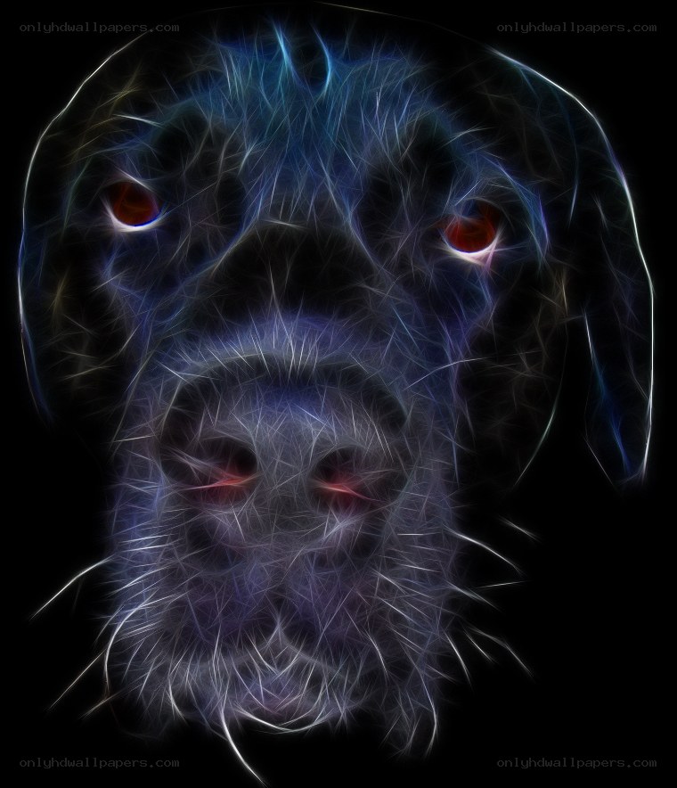 fractal dog portrait