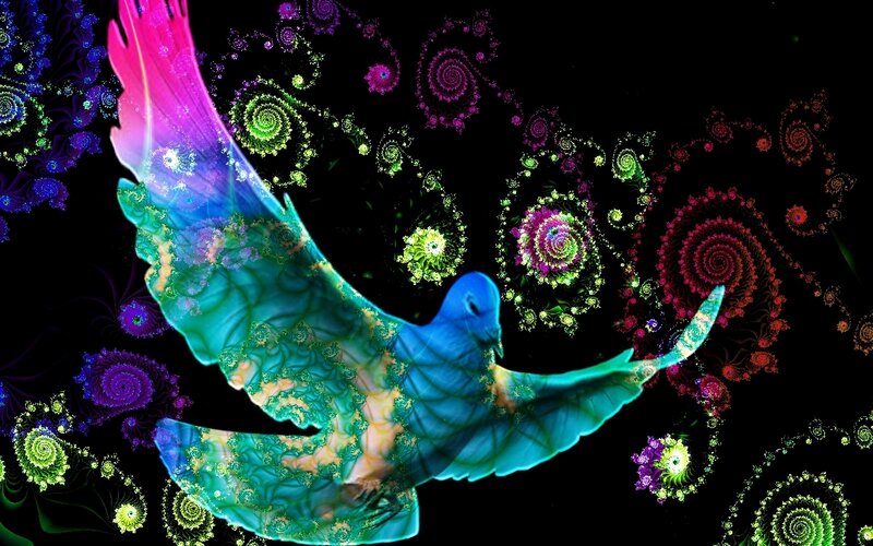 fractal dove in flight