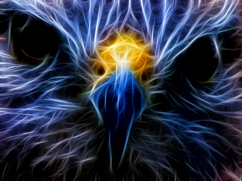 Fractal Eagle Face