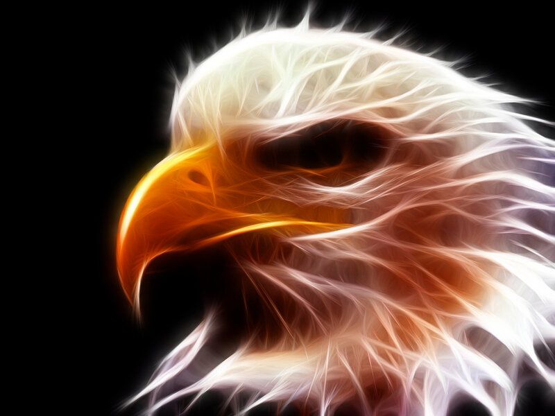 fractal eagle head