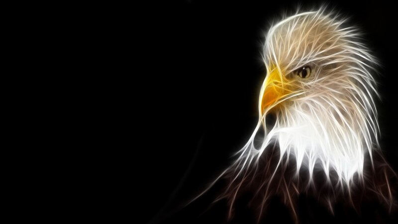 fractal eagle head