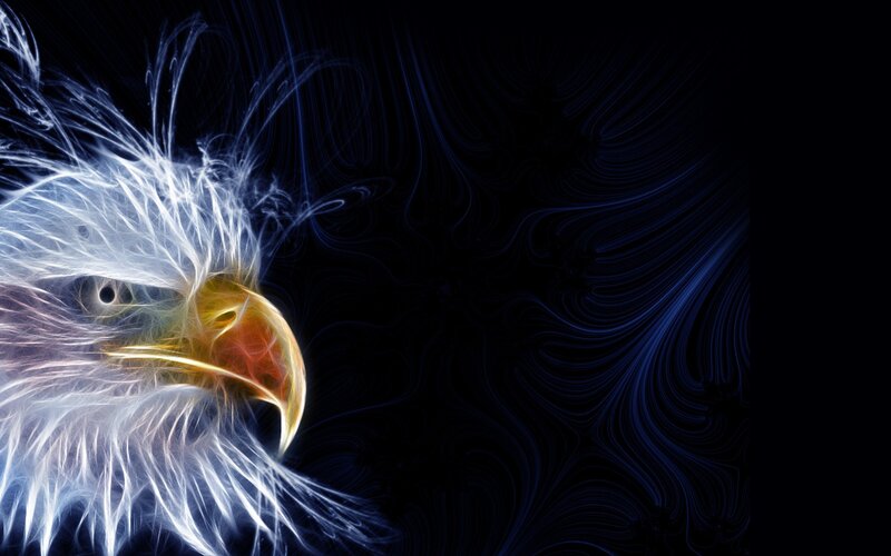 fractal eagle head