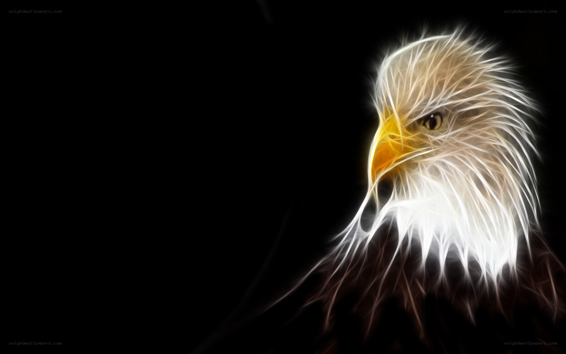 fractal eagle head
