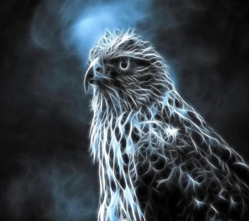 Fractal Eagle Head — Black, Dramatic, Digital Art