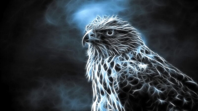 Fractal Eagle Head — Black, Dramatic