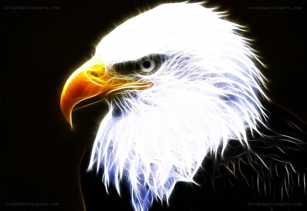 fractal eagle head portrait