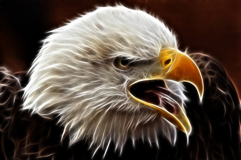 fractal eagle head portrait