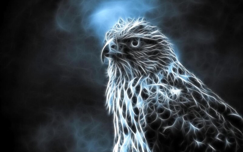 Fractal Eagle Head — White, Dramatic