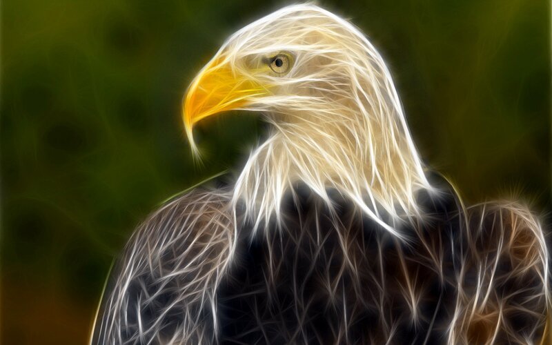 fractal eagle portrait