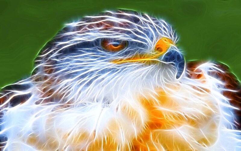 fractal eagle portrait