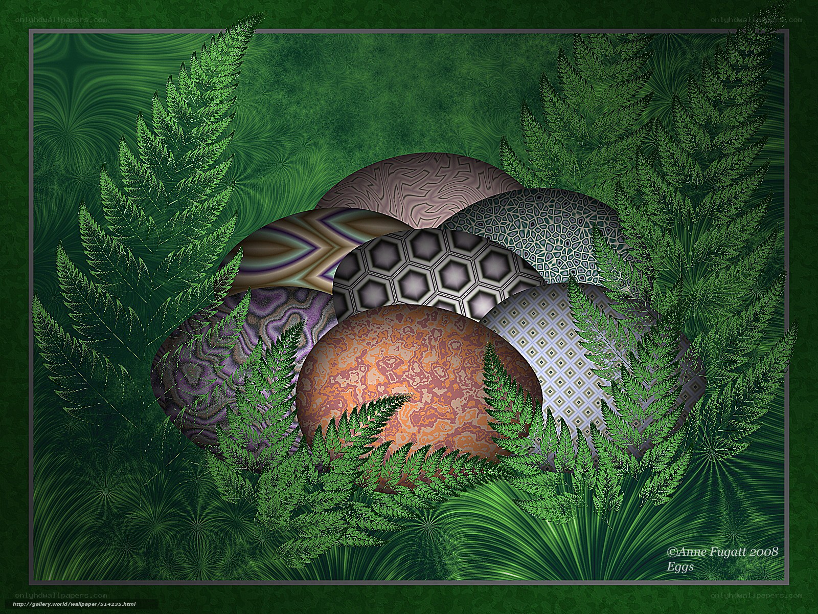 Fractal eggs in ferns