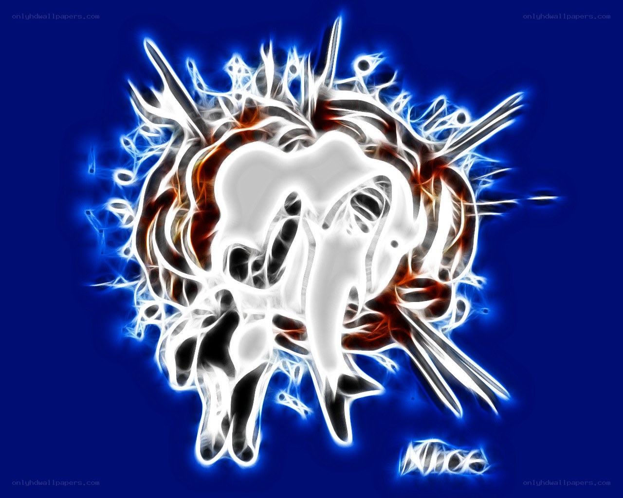 fractal elephant design