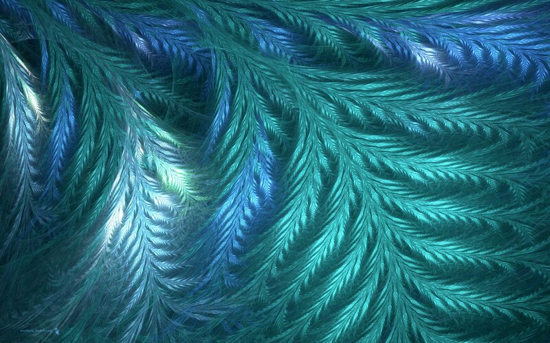 fractal feather pattern