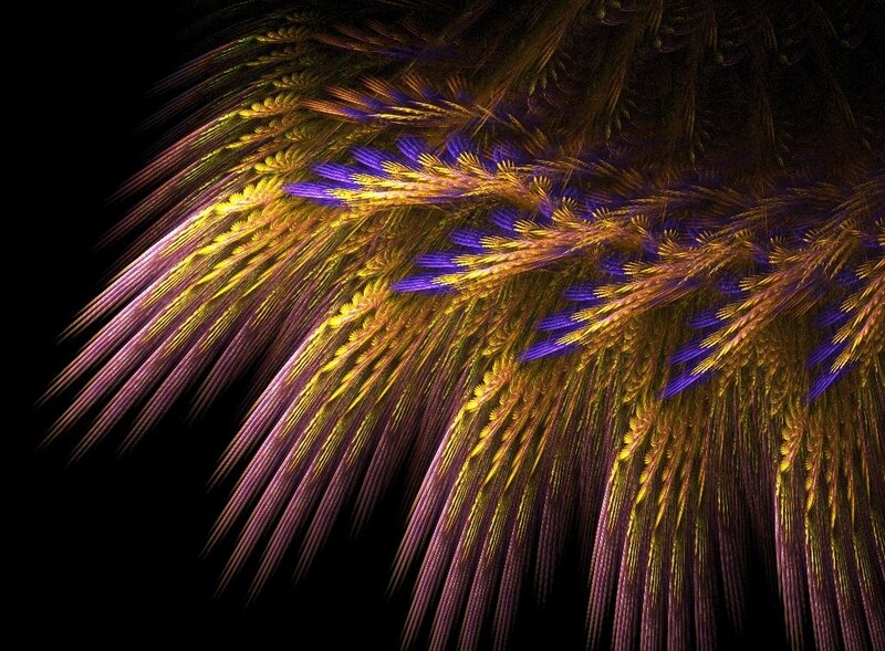 fractal feather pattern