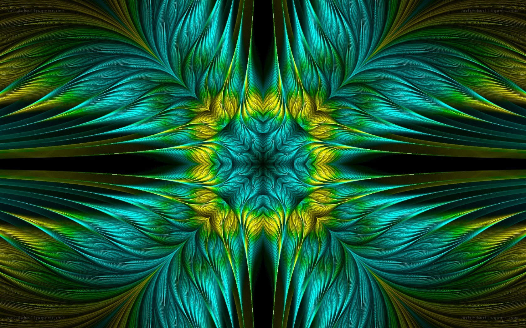 Fractal feather pattern