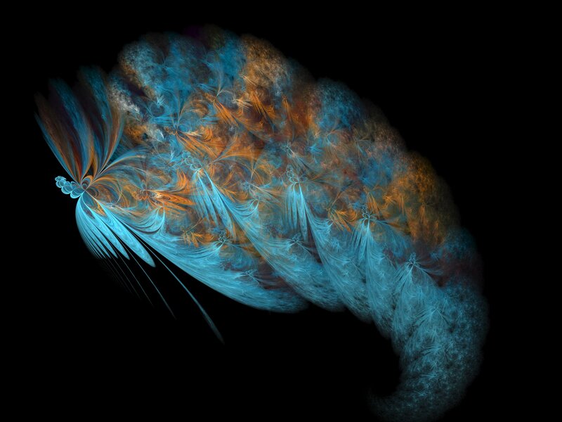 Fractal Feather Shape