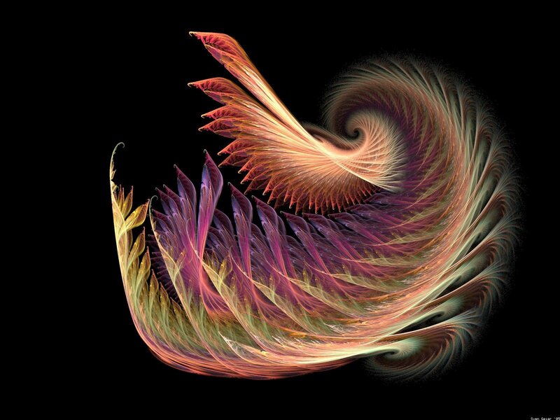 Fractal feather spiral