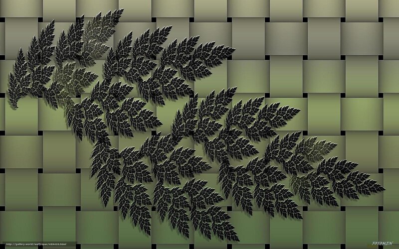 Fractal fern on green grid