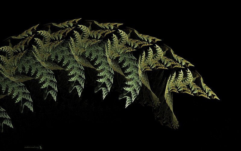 Fractal fern pattern on black