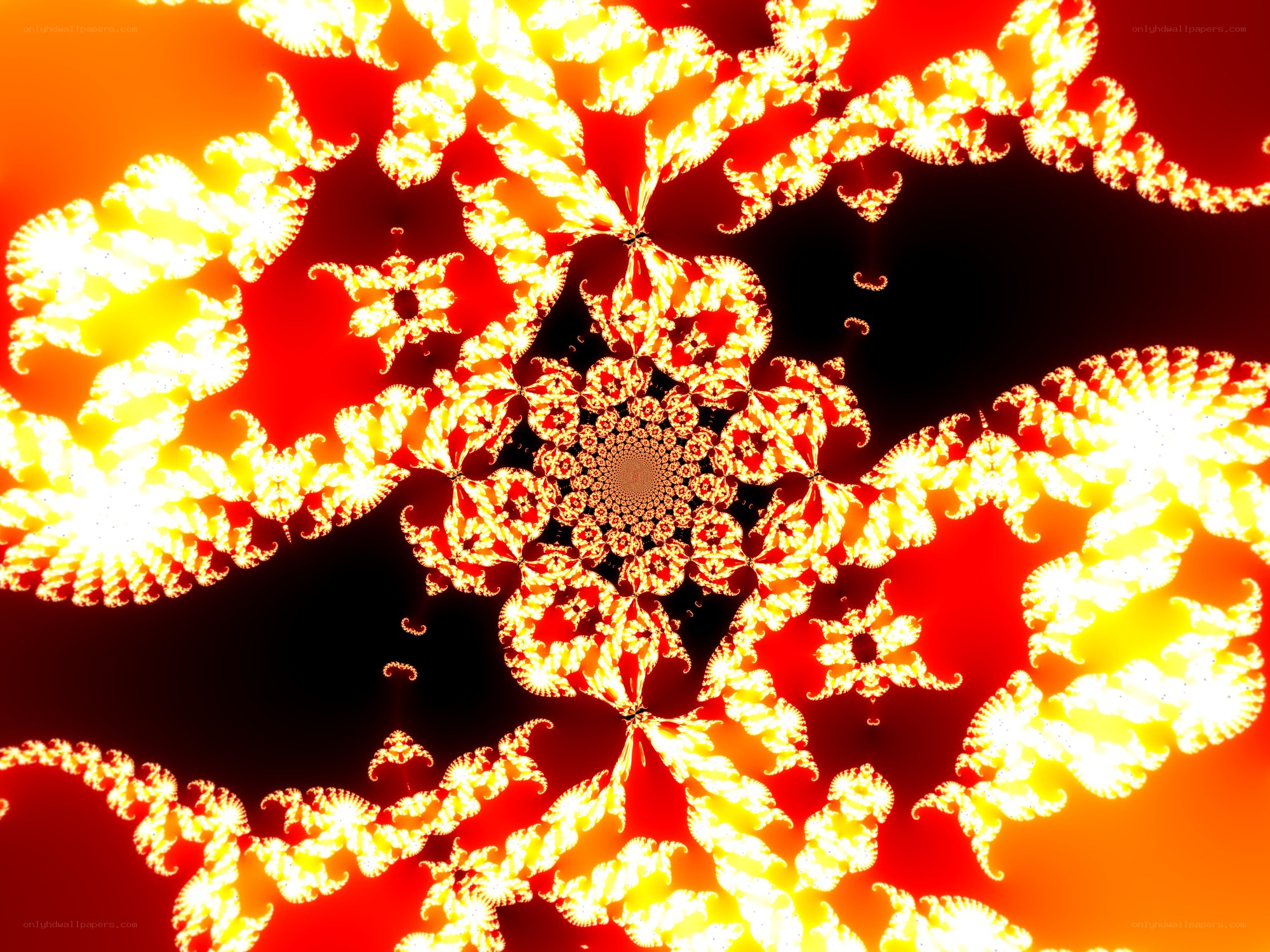 fractal flame pattern