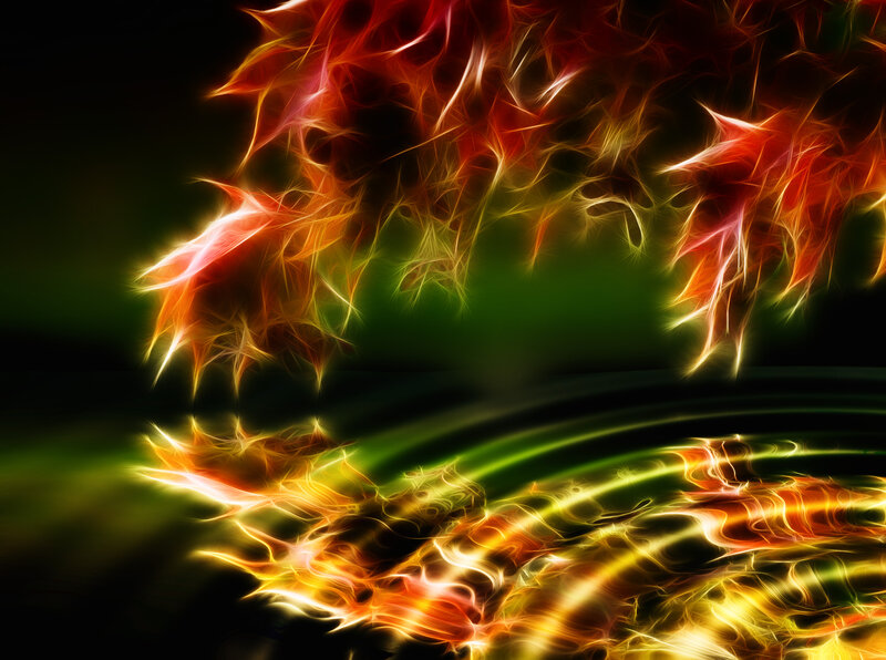 Fractal Flame Patterns