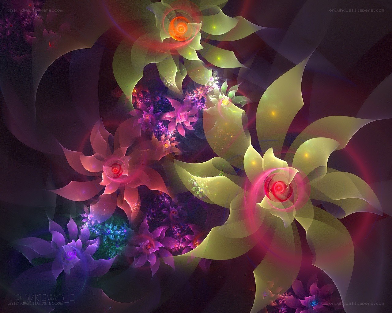 Fractal floral abstract art