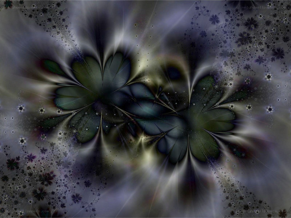 fractal floral abstract art