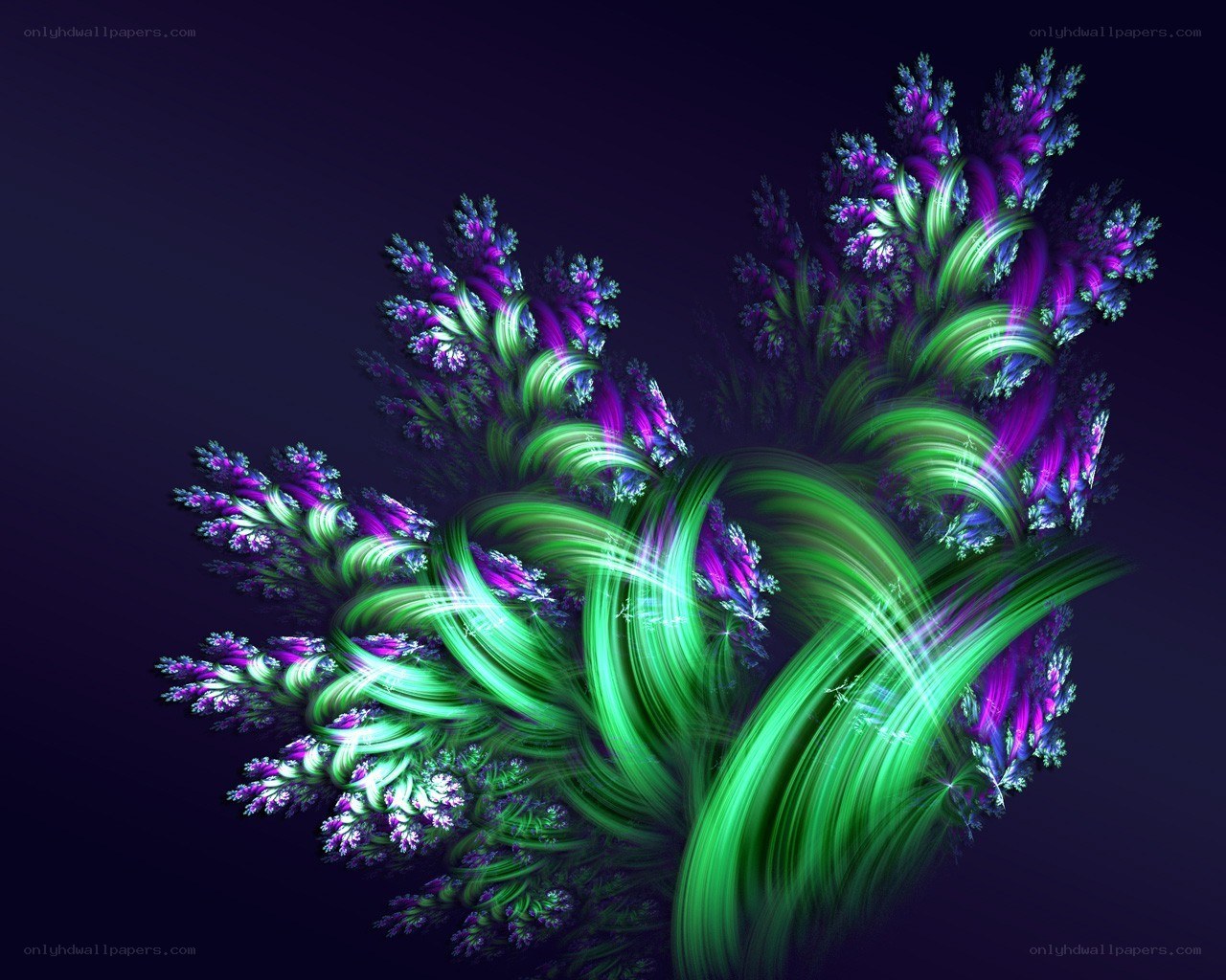 Fractal floral abstract