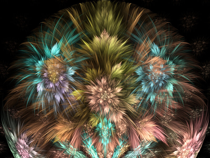 Fractal floral explosion