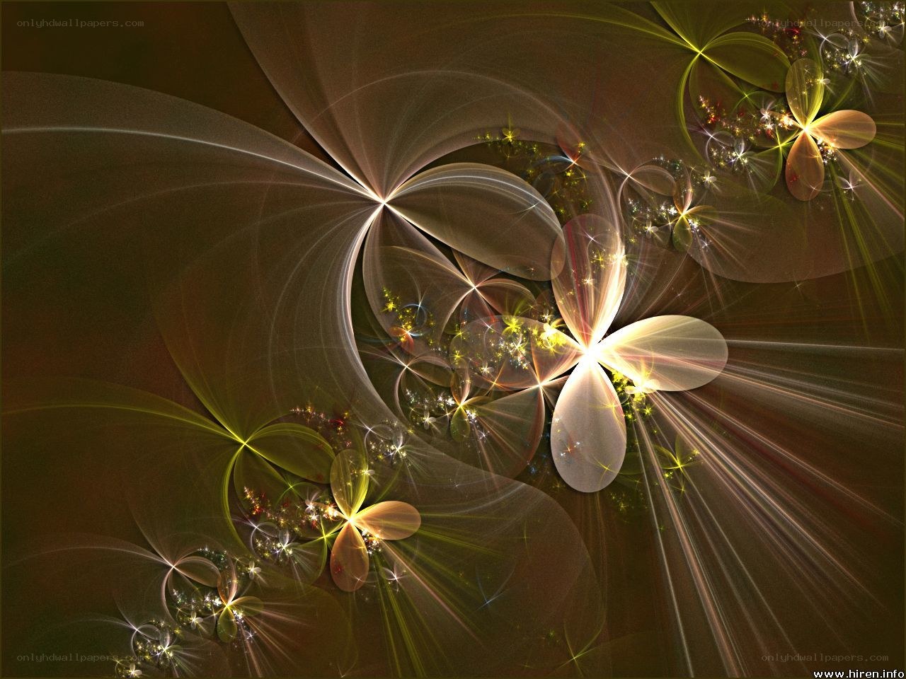 Fractal floral light patterns