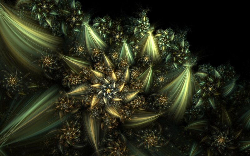 fractal floral light patterns