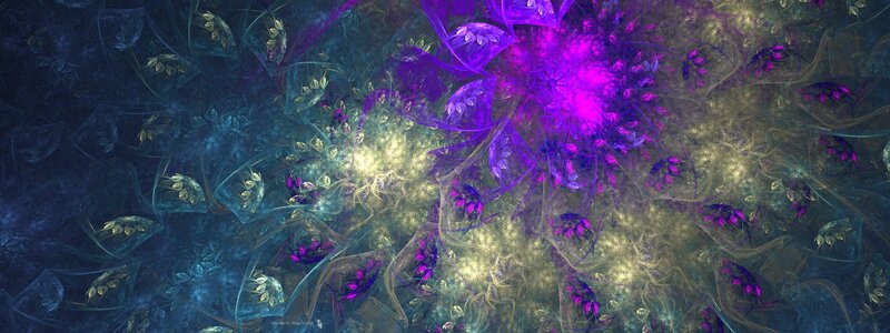 fractal floral pattern