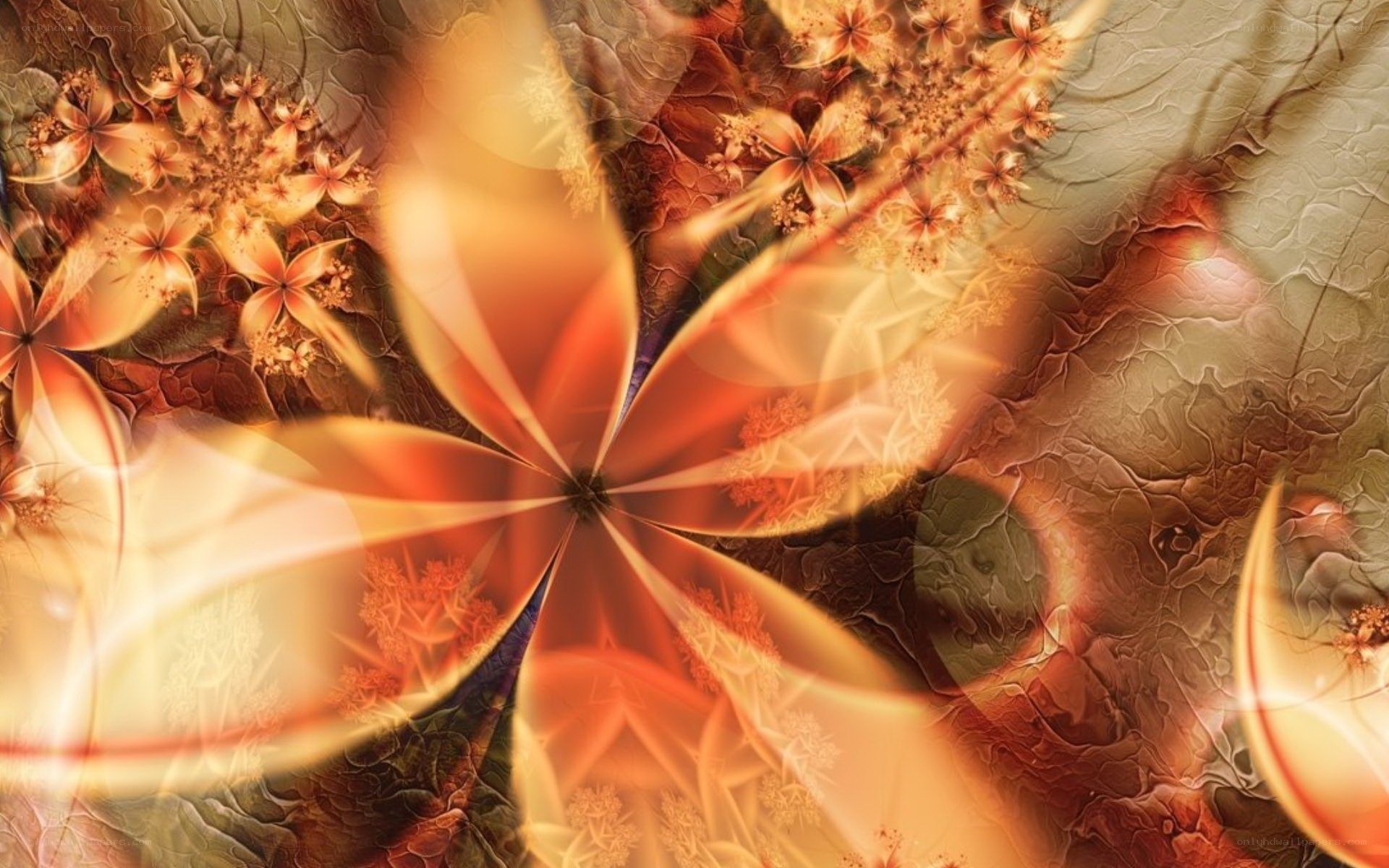 fractal floral pattern