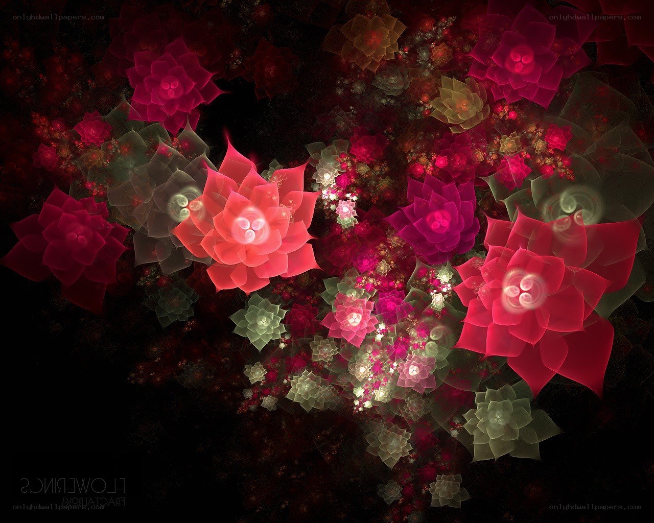 Fractal floral pattern