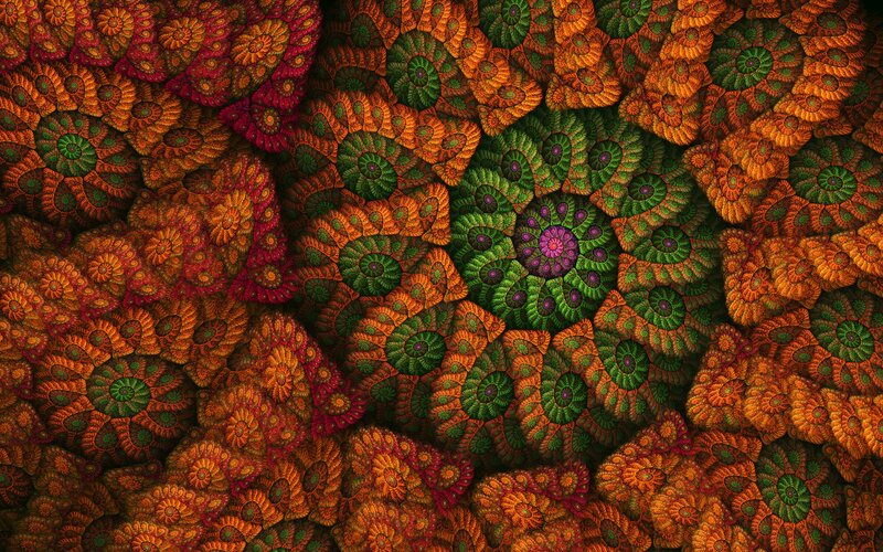 fractal floral pattern