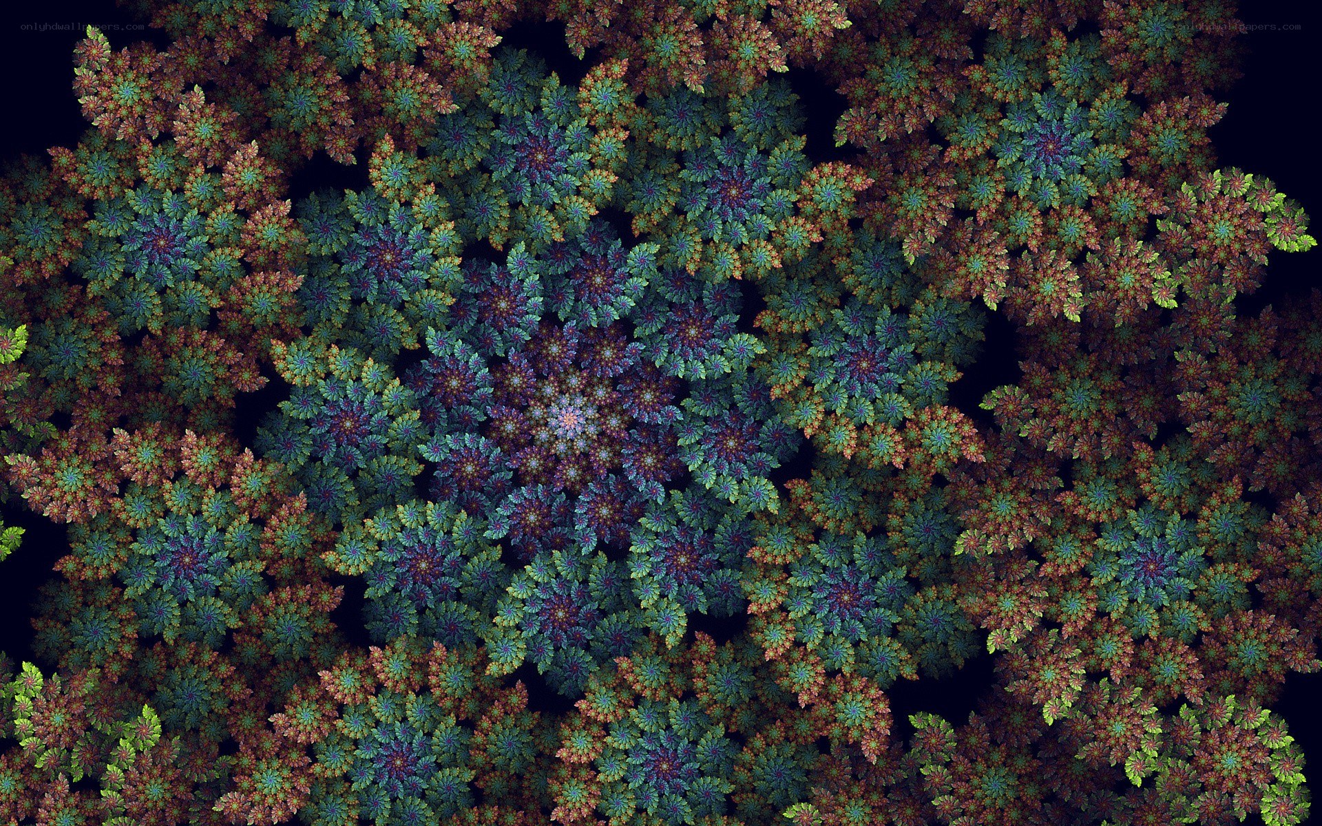 Fractal floral pattern