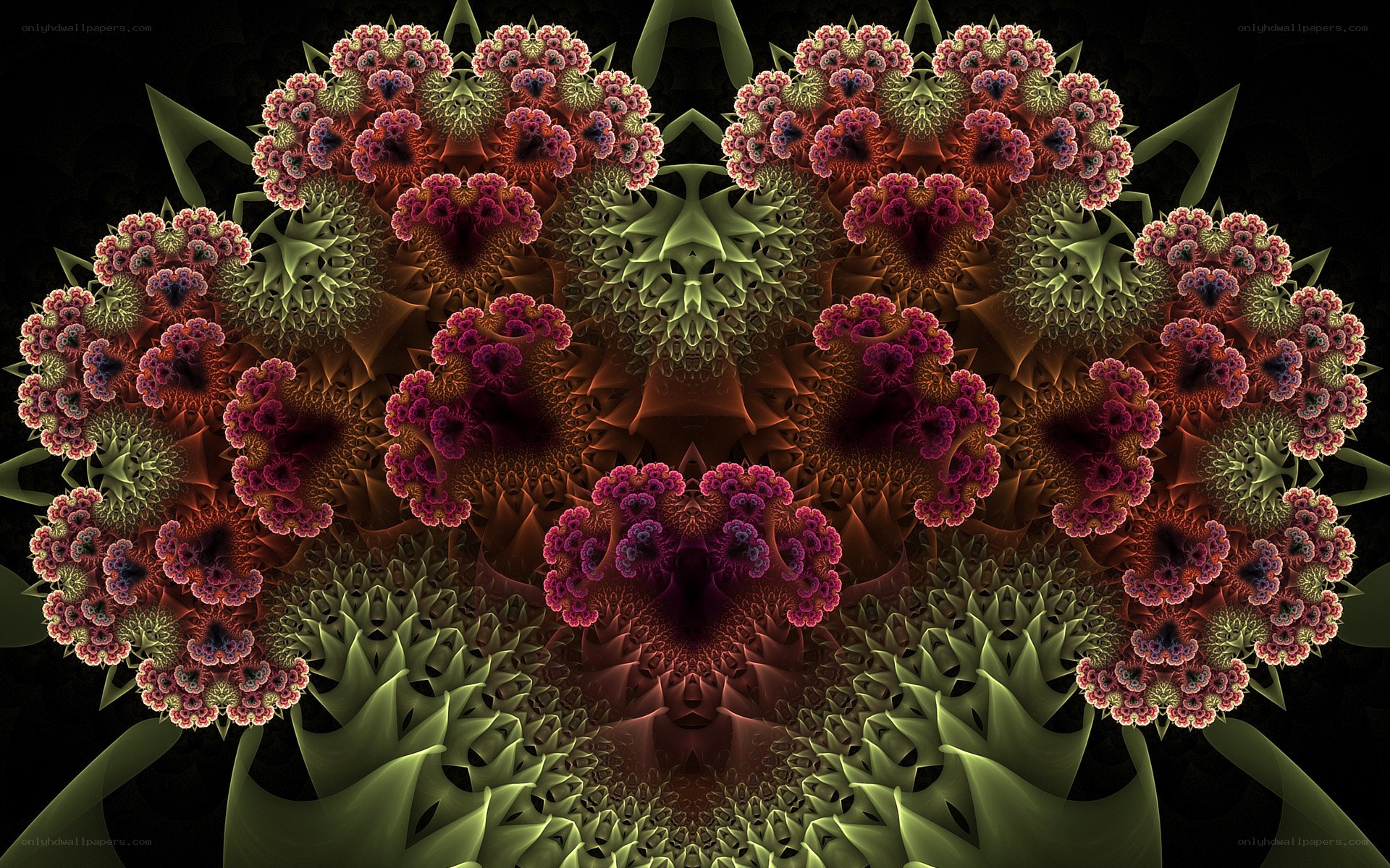 Fractal floral pattern