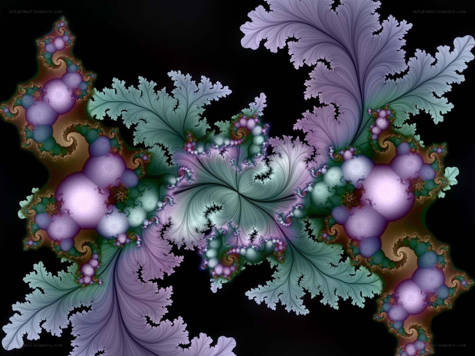 Fractal floral pattern