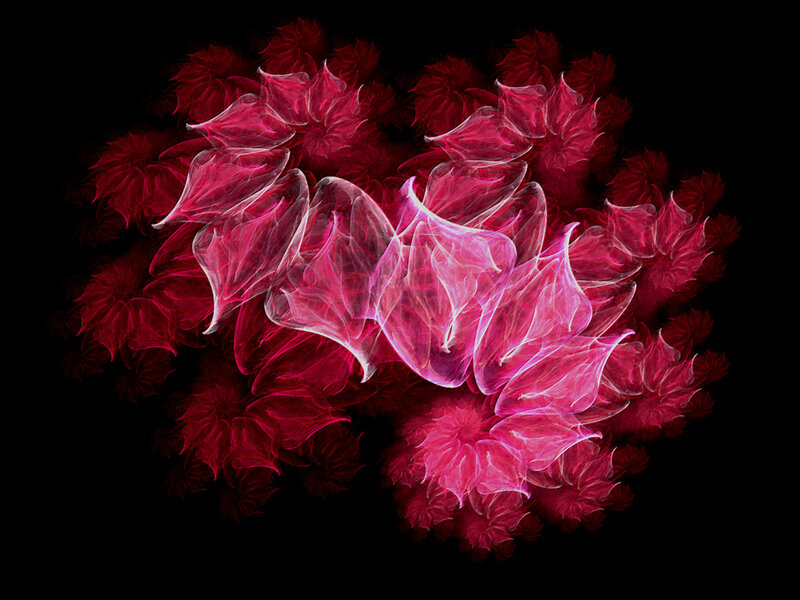 Fractal floral pattern