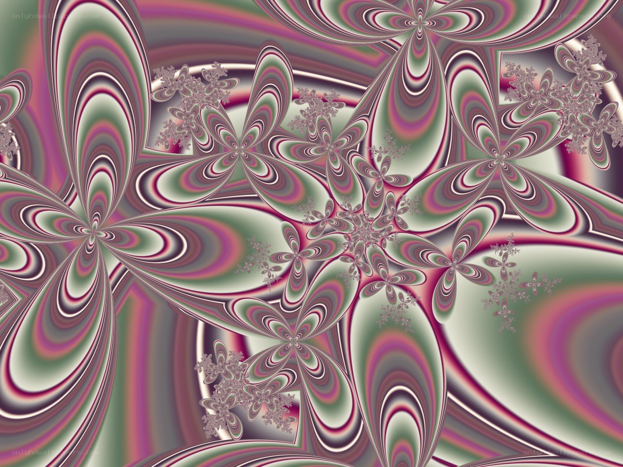 Fractal floral pattern
